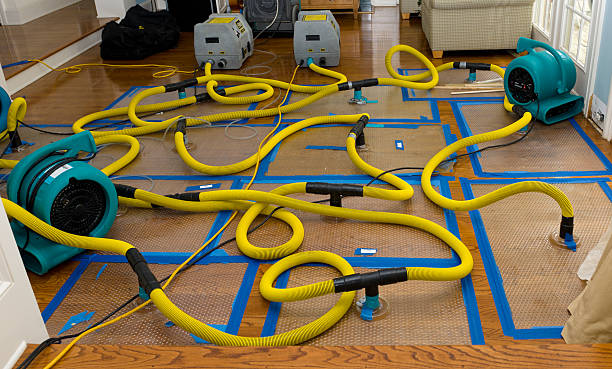 Professional Water Extraction technician working in Flat Rock, AL